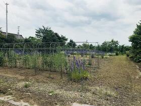 福島県福島市飯坂町平野字福内