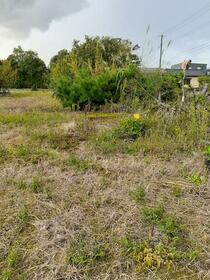 新潟県新発田市下小中山