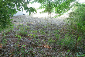 栃木県下都賀郡壬生町大字国谷