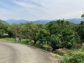 和歌山県海草郡紀美野町小畑