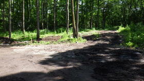 群馬県吾妻郡嬬恋村大字鎌原大カイシコ