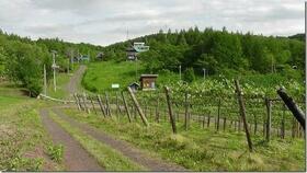 北海道余市郡余市町登町