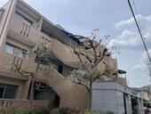 神戸市須磨区須磨寺町２丁目 3階建 築28年のイメージ