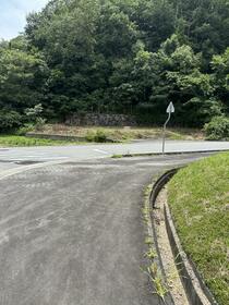 兵庫県丹波篠山市油井