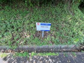 愛媛県西宇和郡伊方町大久