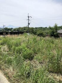 熊本県玉名市岱明町西照寺