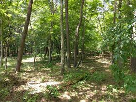山梨県南都留郡山中湖村平野