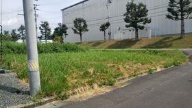 岩手県滝沢市大釜風林