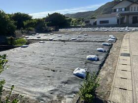 千葉県南房総市白浜町白浜