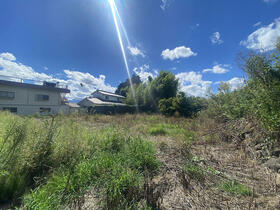 山梨県北杜市大泉町西井出