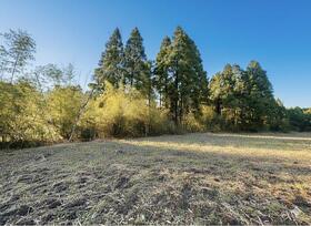 千葉県いすみ市行川