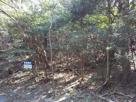 静岡県湖西市大知波