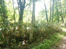 北海道磯谷郡蘭越町字立川