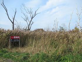 北海道札幌市東区中沼町