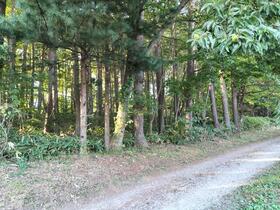 長野県諏訪郡富士見町落合烏帽子