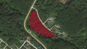 北海道虻田郡倶知安町字樺山