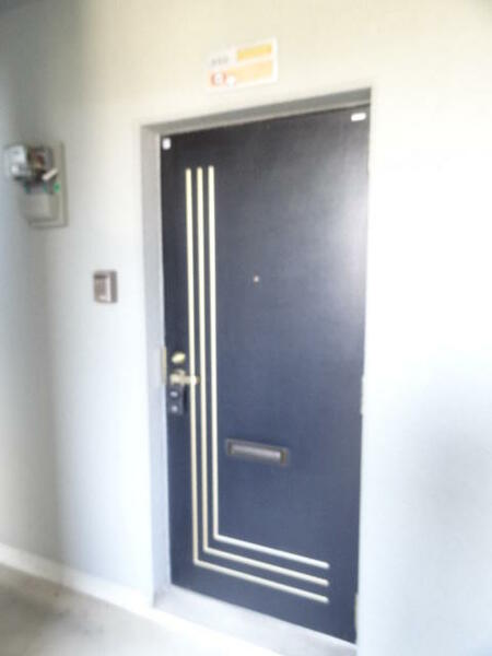 画像3:重厚な感じの玄関扉　※写真は同型２０２号室
