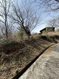 静岡県伊東市宇佐美