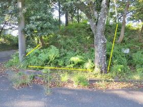 静岡県伊豆市下白岩