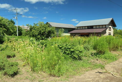 detached 福島県大沼郡会津美里町鶴野辺字家ノ東丙