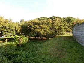 福岡県大牟田市大字草木