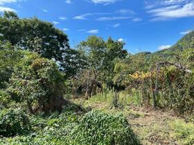 長野県長野市大字西長野