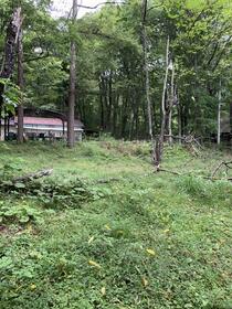 山梨県北杜市大泉町谷戸