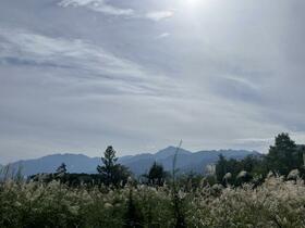山梨県北杜市小淵沢町