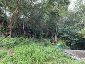 沖縄県南城市玉城字堀川