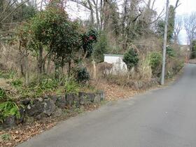 静岡県伊東市八幡野