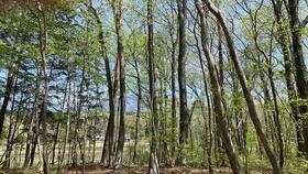 山梨県北杜市小淵沢町上笹尾