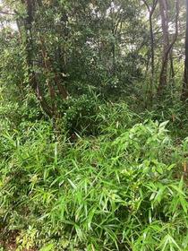 三重県三重郡菰野町大字杉谷