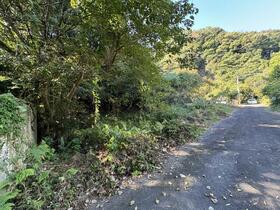 静岡県沼津市柳沢