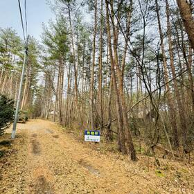 群馬県吾妻郡嬬恋村大字鎌原大カイシコ