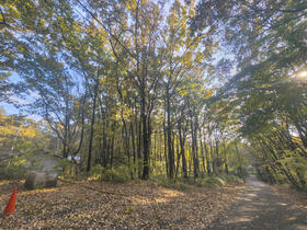 栃木県那須郡那須町大字高久丙