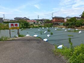 新潟県新潟市南区上下諏訪木