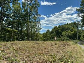 山梨県北杜市大泉町谷戸