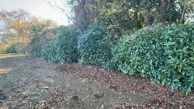 千葉県山武市沖渡