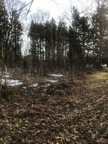 岩手県北上市和賀町竪川目１地割