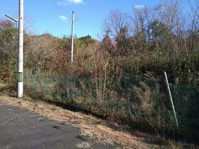 兵庫県丹波篠山市遠方