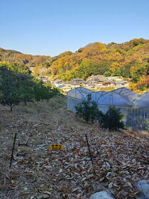 愛媛県松山市吉藤１丁目