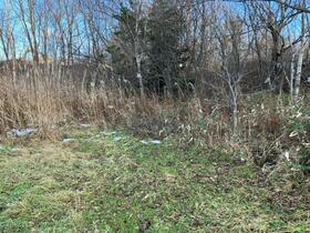 北海道北広島市大曲