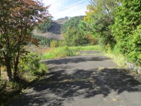 大分県玖珠郡九重町大字田野