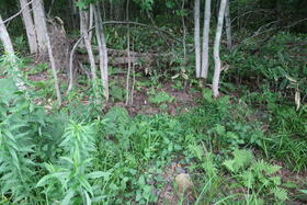 北海道札幌市南区藤野