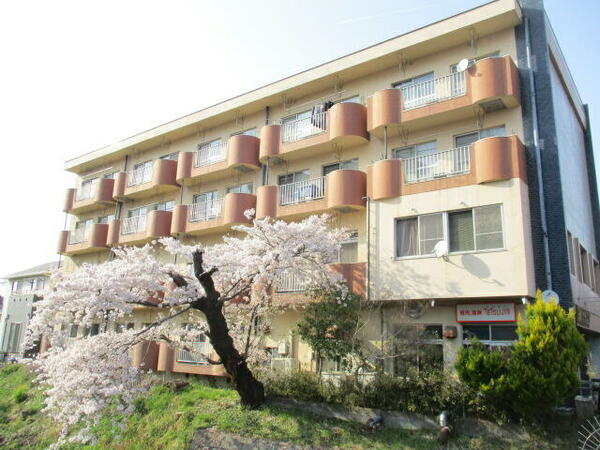 画像2:春には桜の木も満開に咲いて綺麗です♪