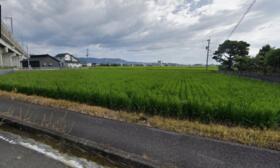 熊本県八代市大村町