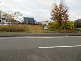 静岡県静岡市清水区三保松原町