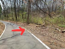 栃木県那須郡那須町大字芦野