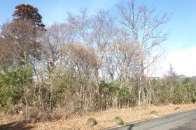 茨城県古河市下大野