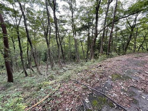 Land, 岐阜県 郡上市